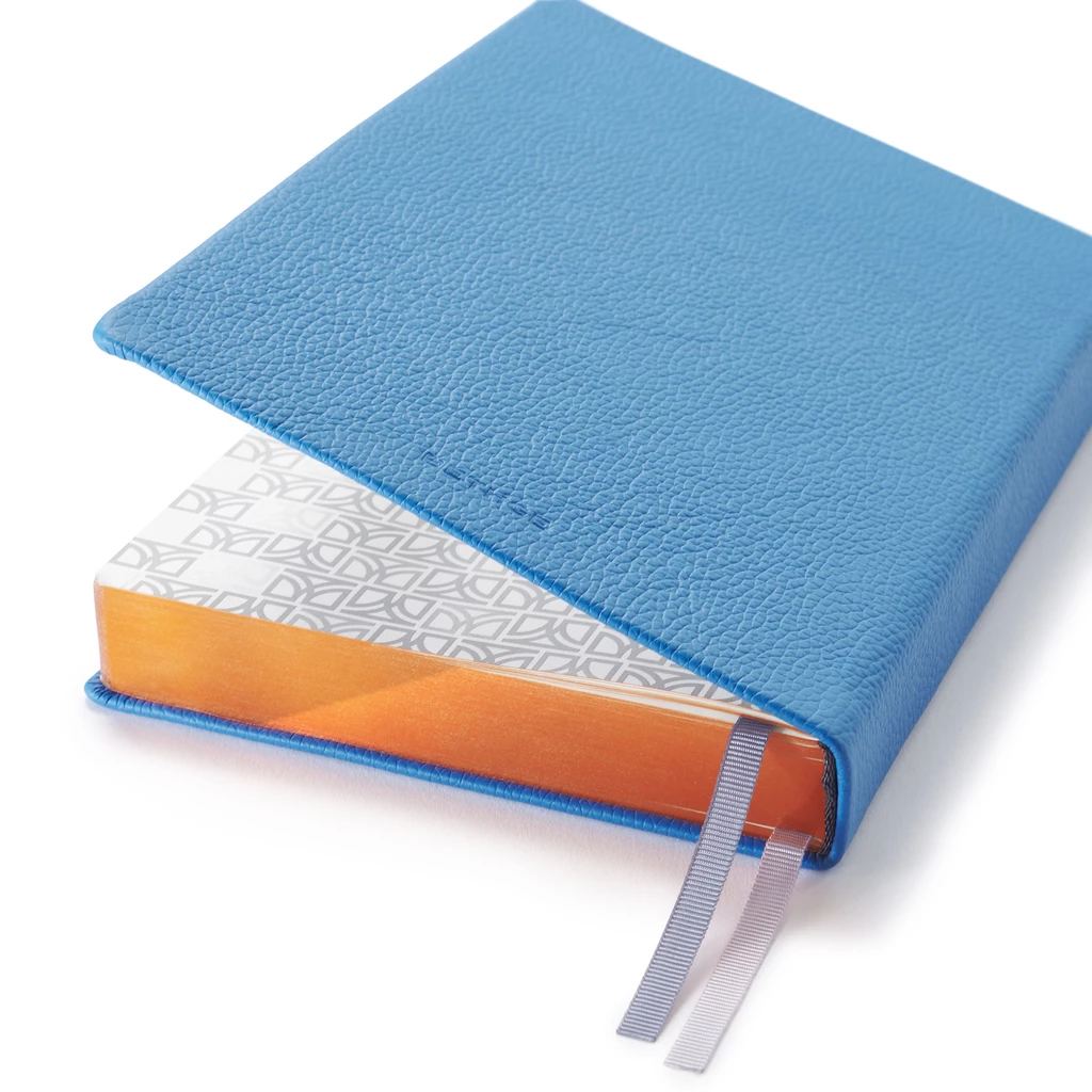 Daily Planner 2027 Racing Blue