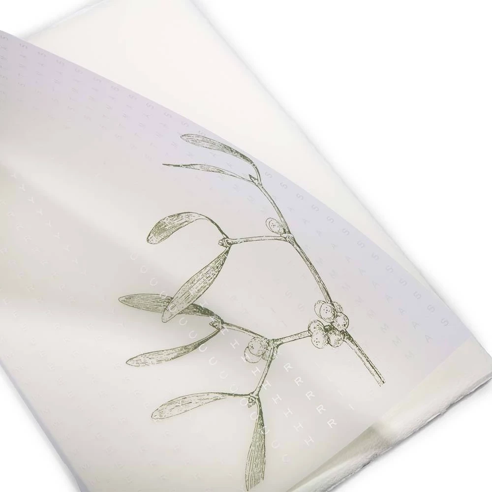 Christmas card mistletoe Merry Christmas laid paper
