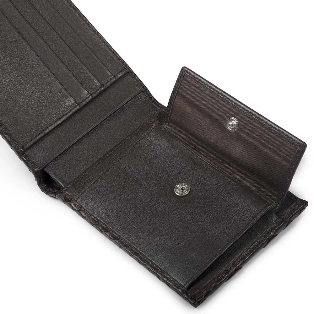 Wallet with Coin Pocket, python leather, wide, brown