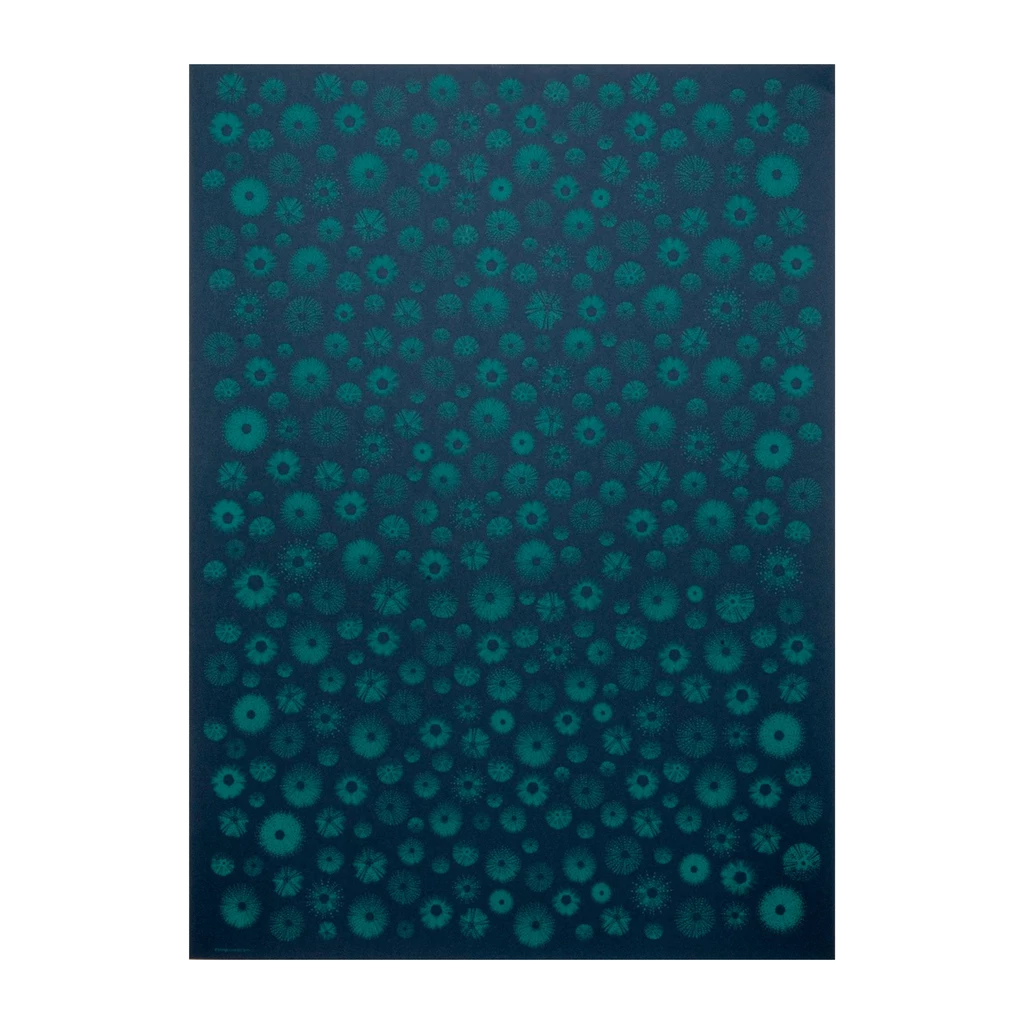 Wrapping paper sea urchin dark blue 50 x 70 cm, 3 sheets