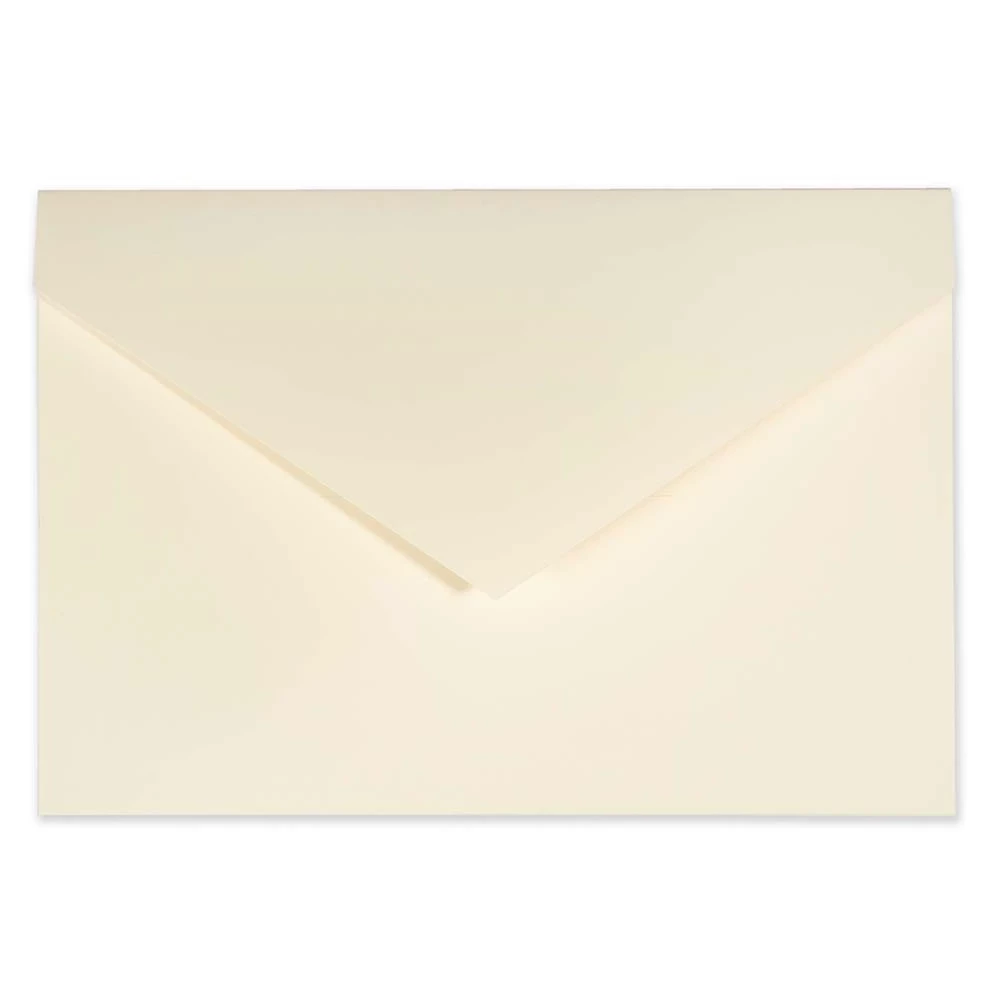 Cardboard folder, ivory
