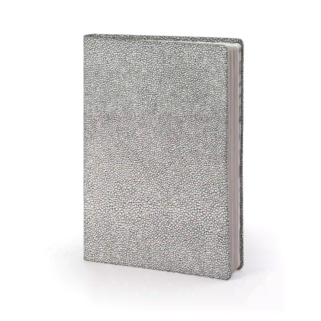 Notebook A5, leather, Silver, ruled