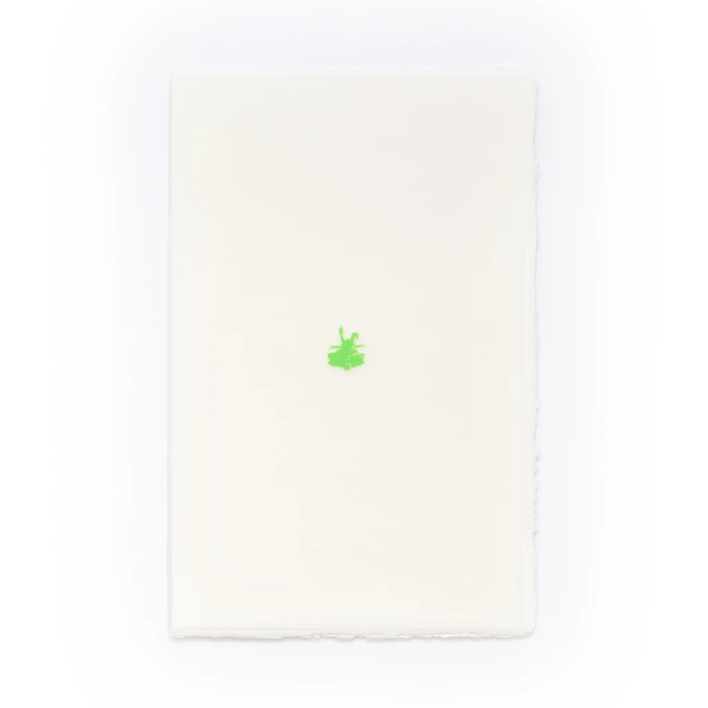 Greeting card bunny laid paper