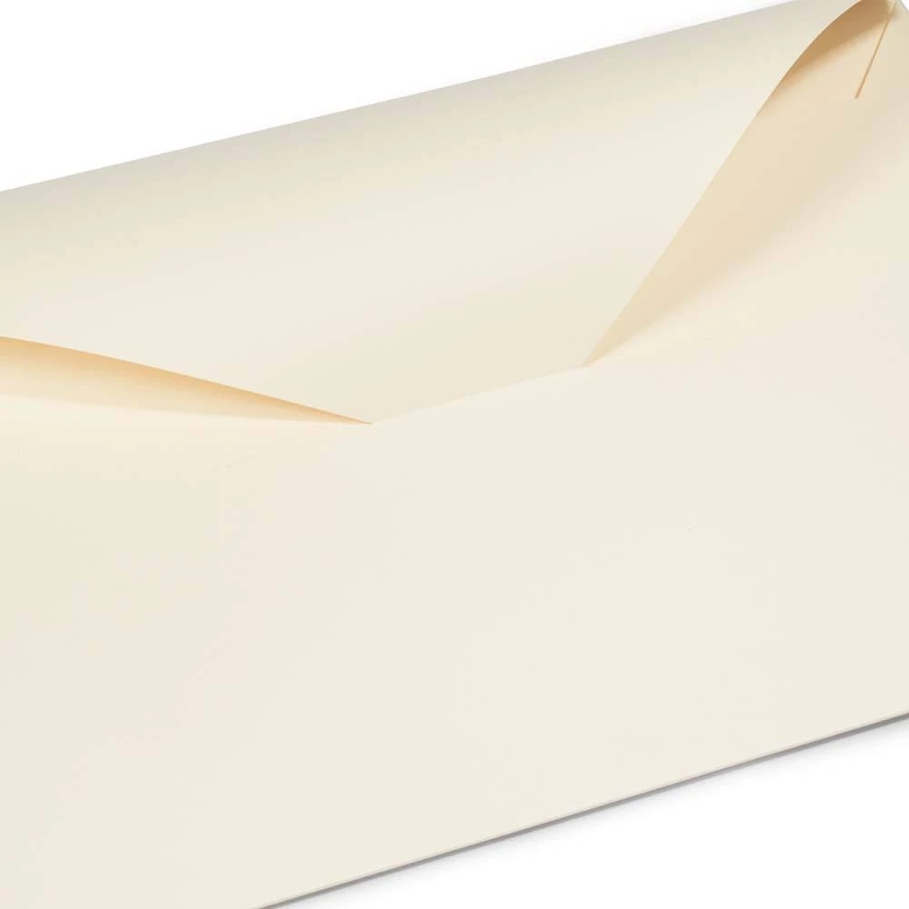 Cardboard folder, ivory