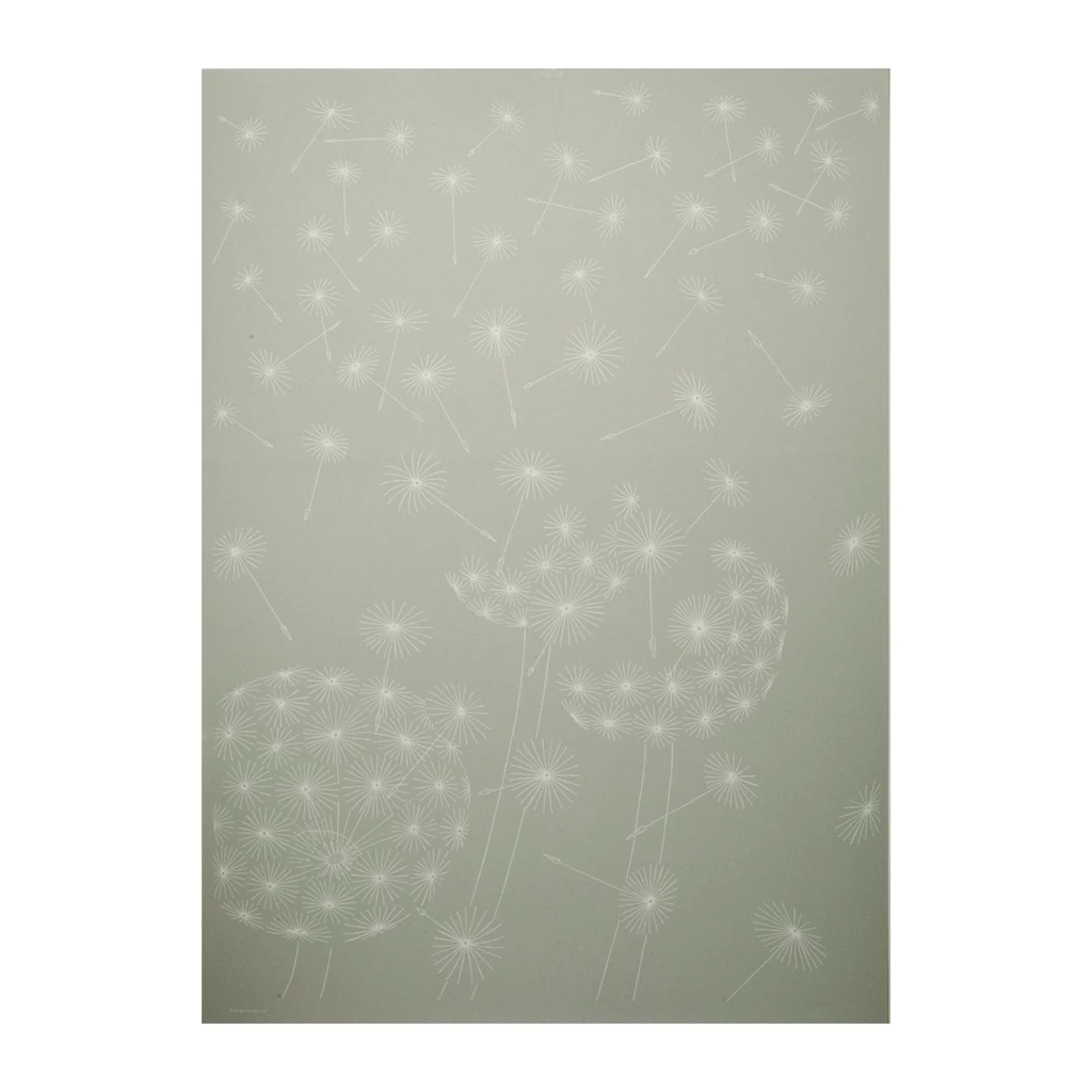 Wrapping paper dandelion grey  50 x 70 cm, 3 sheets