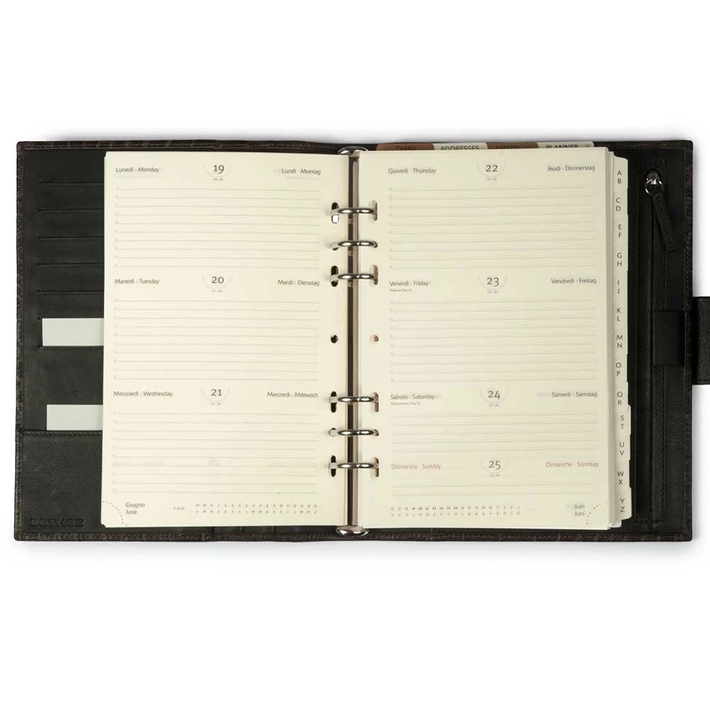 System Planner, alligator-embossed leather, brown