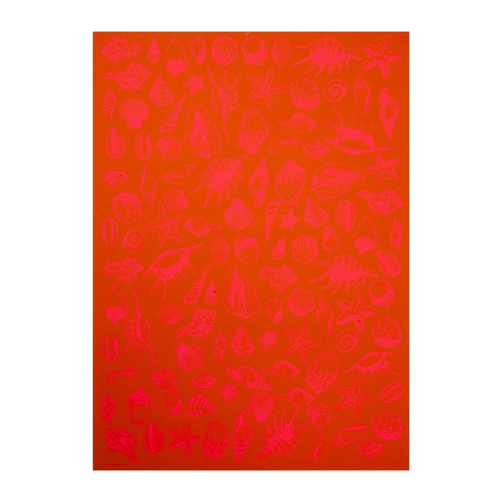 Wrapping paper shells orange 50 x 70 cm, 3 sheets
