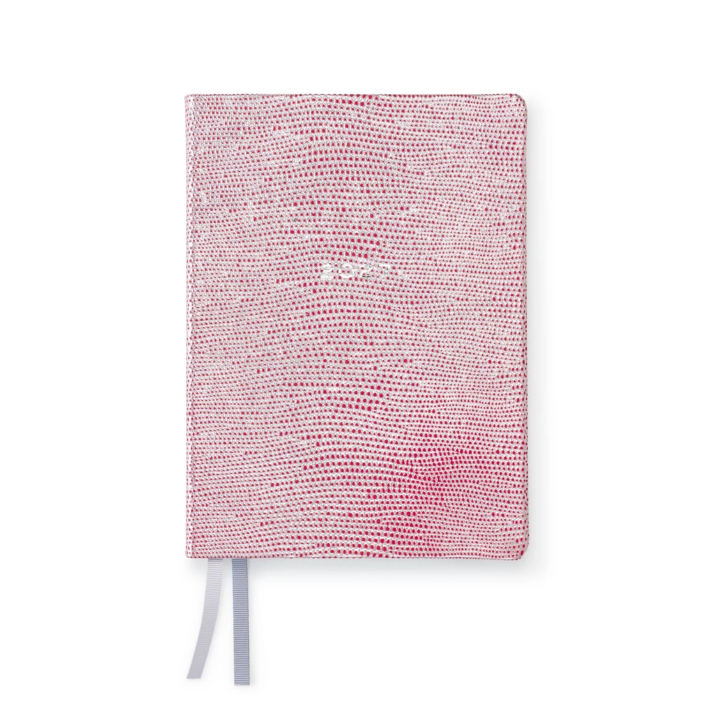 Weekly Planner Notes 2027 Silver Red