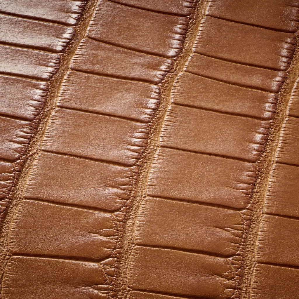 Clutch, Alligator Leather