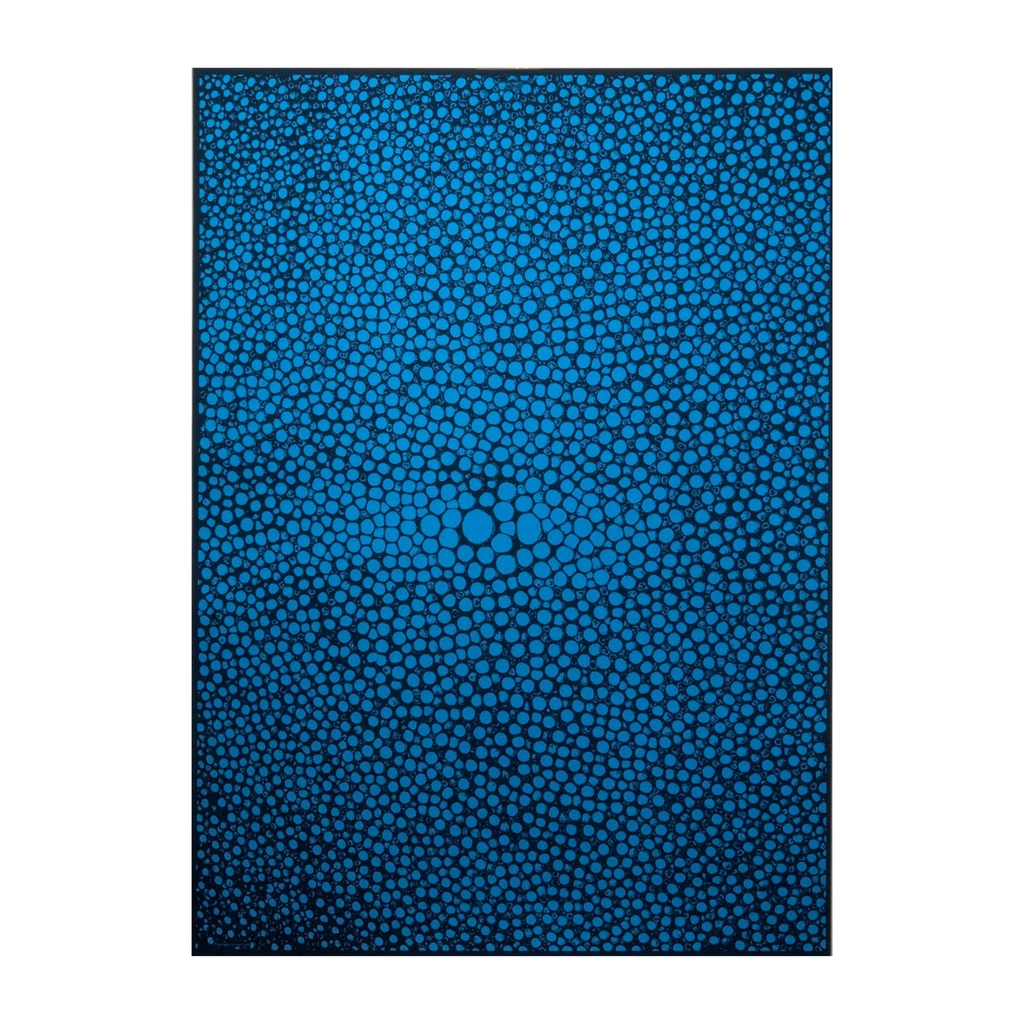 Wrapping paper stingray blue 50  x 70 cm, 3 sheets