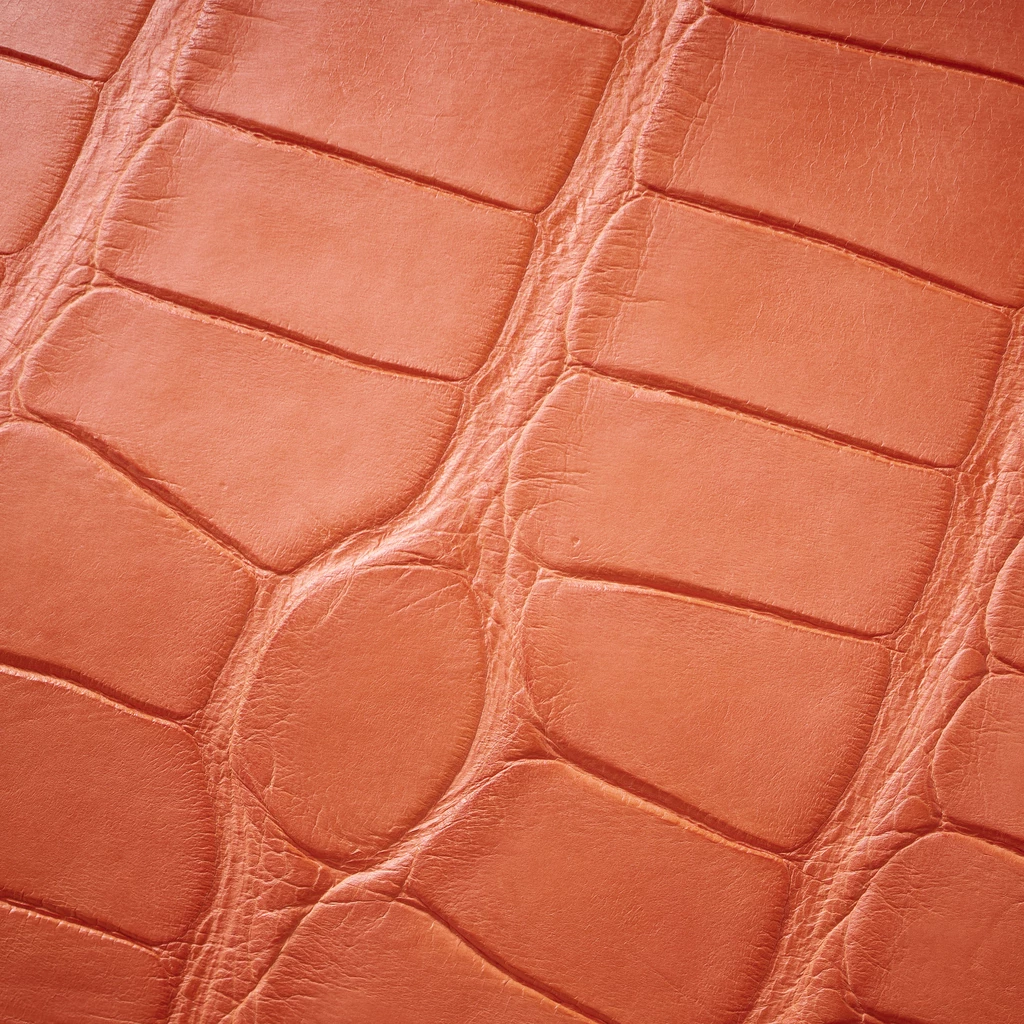 Clutch, Alligator Leather