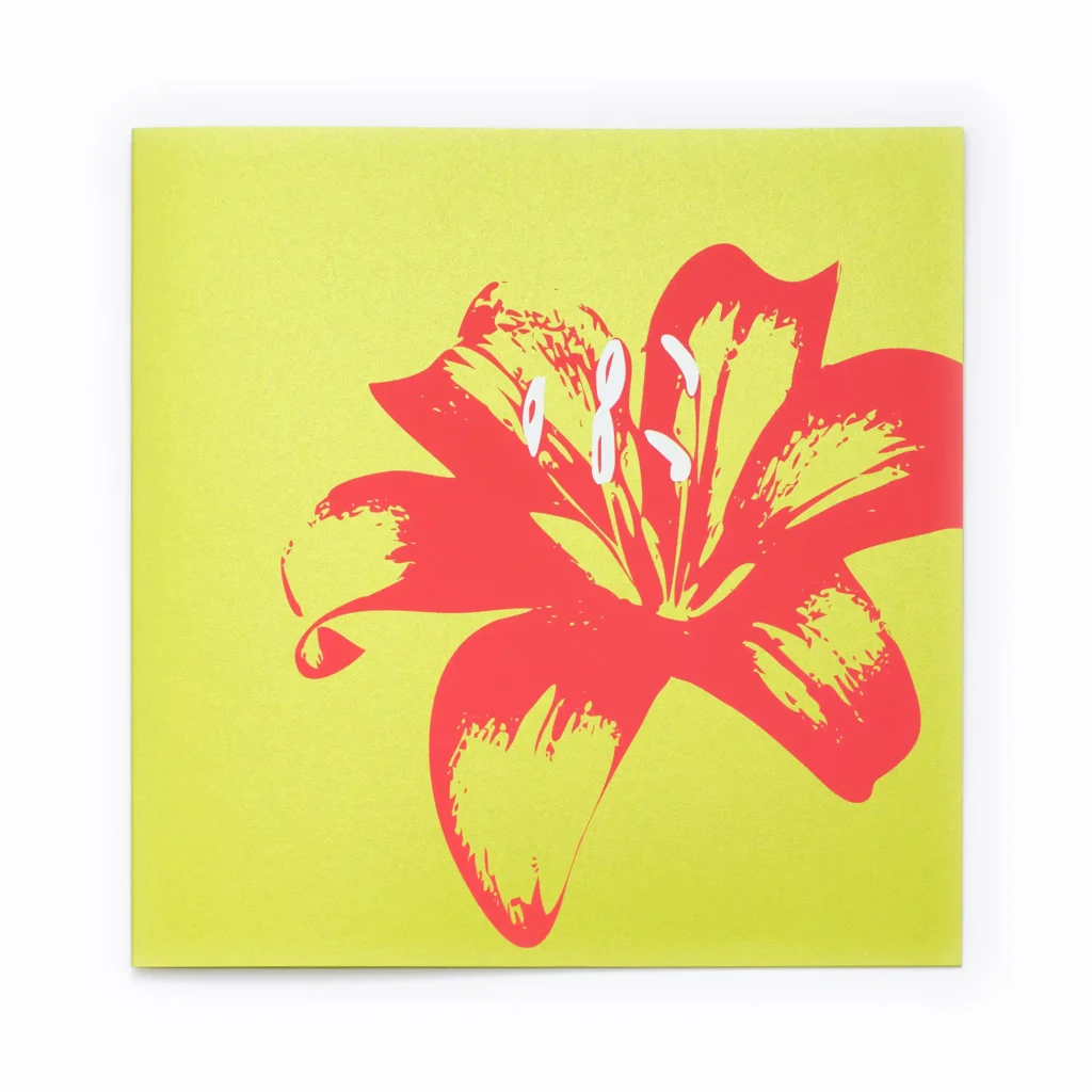 Greeting card lily on green