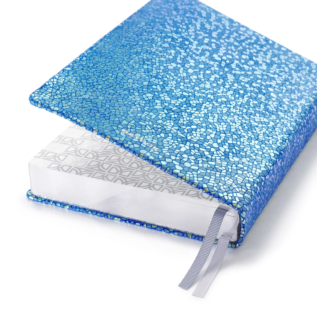Daily Planner 2027 Acqua Leather