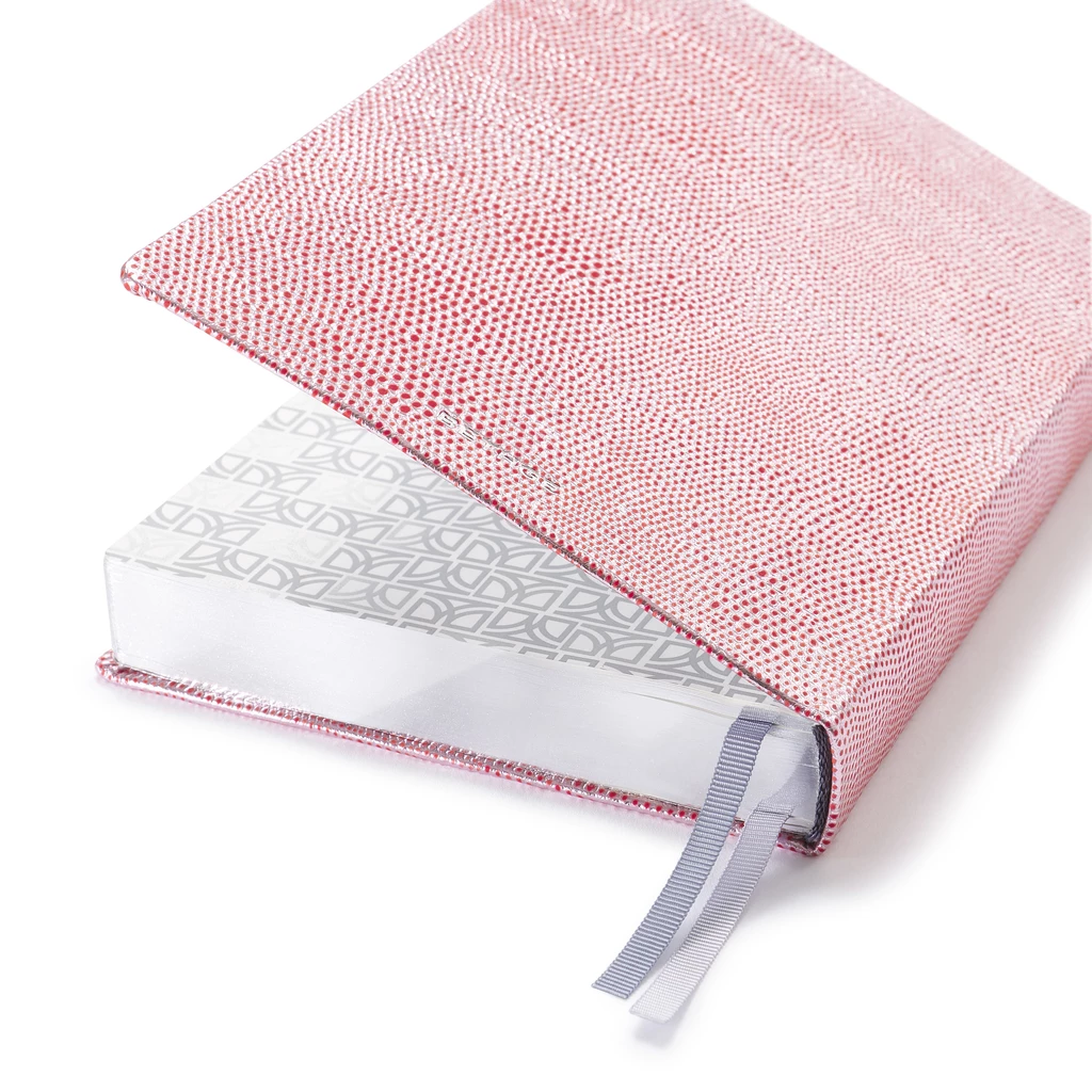Daily Planner 2027 Silver Red