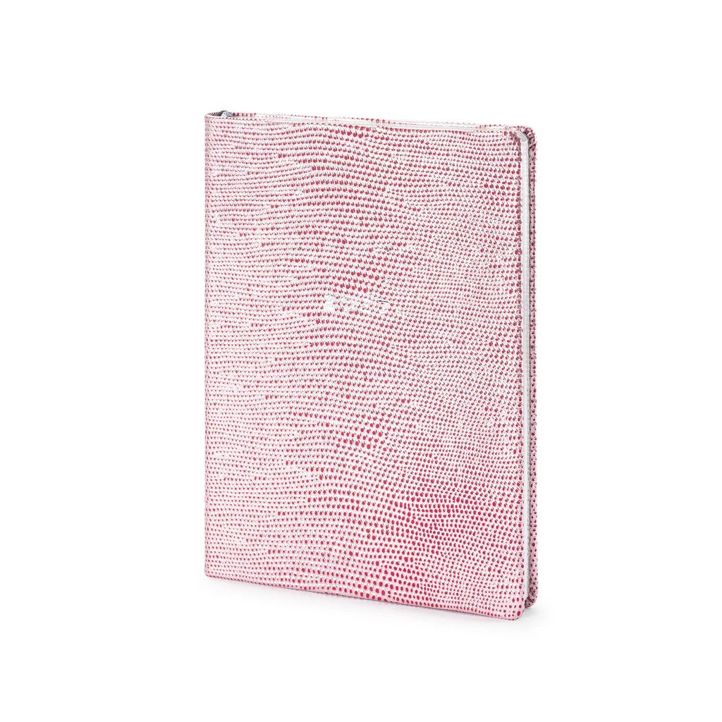 Weekly Planner Notes 2027 Silver Red