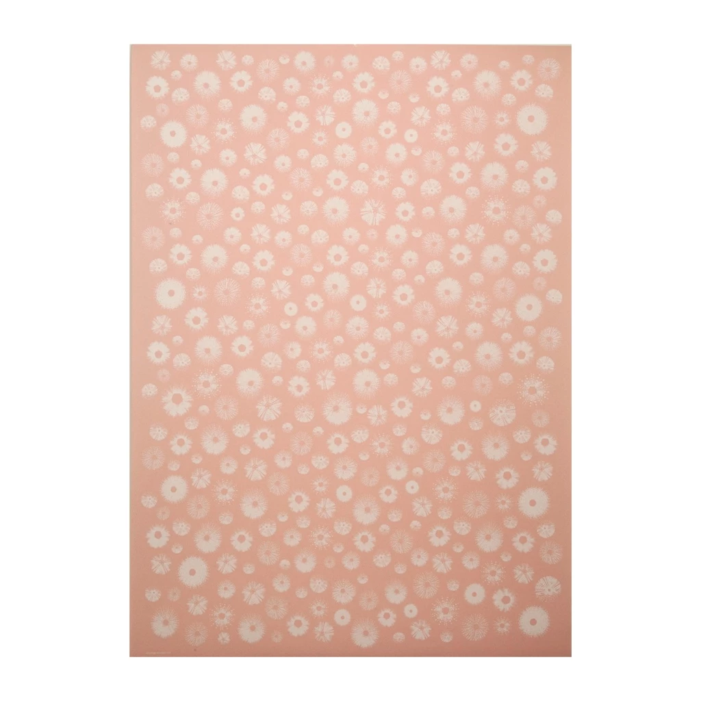 Wrapping paper sea urchin rose 50 x 70 cm, 3 sheets