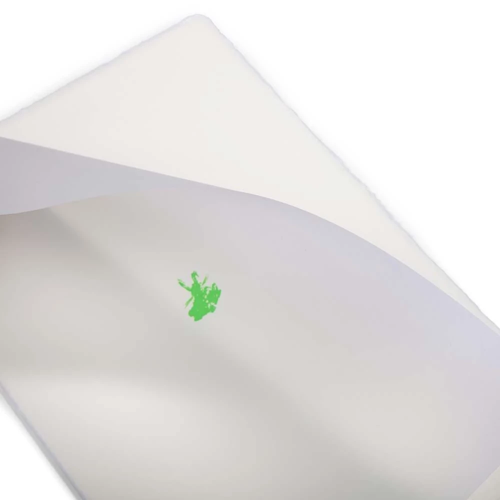 Greeting card bunny laid paper