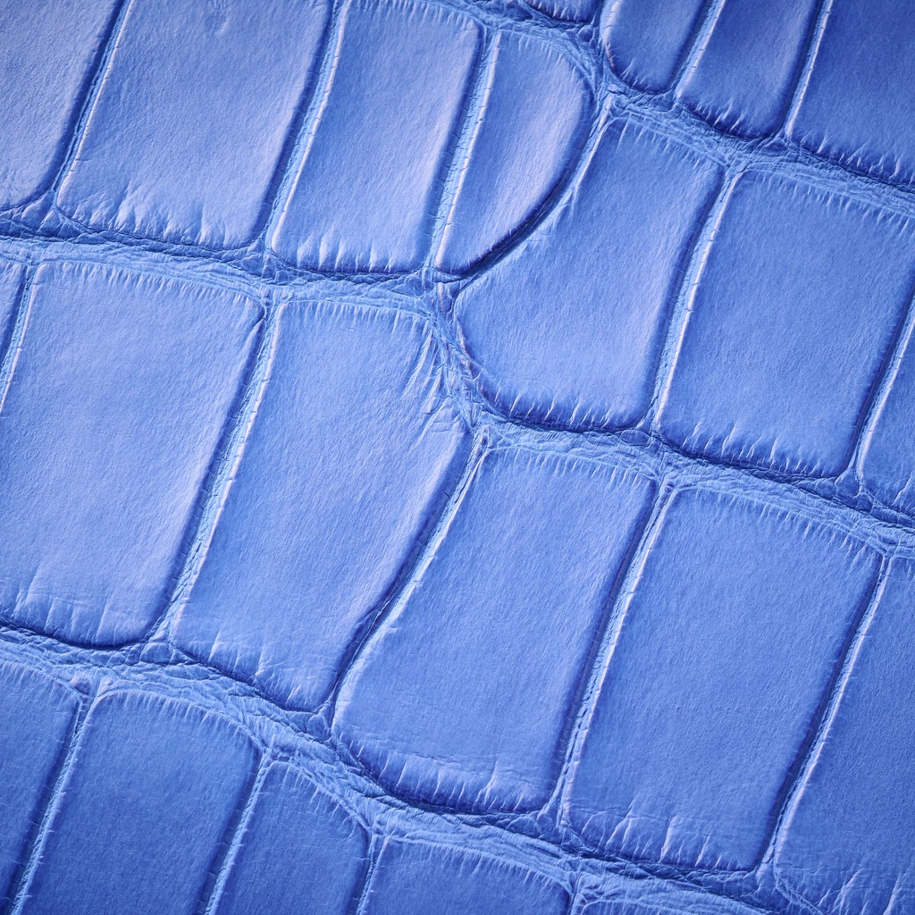 Clutch, Alligator Leather