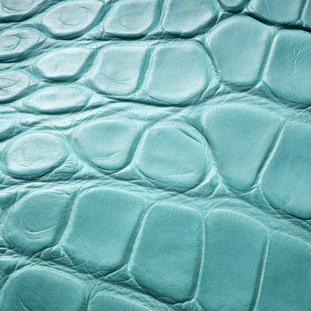 Clutch, Alligator Leather
