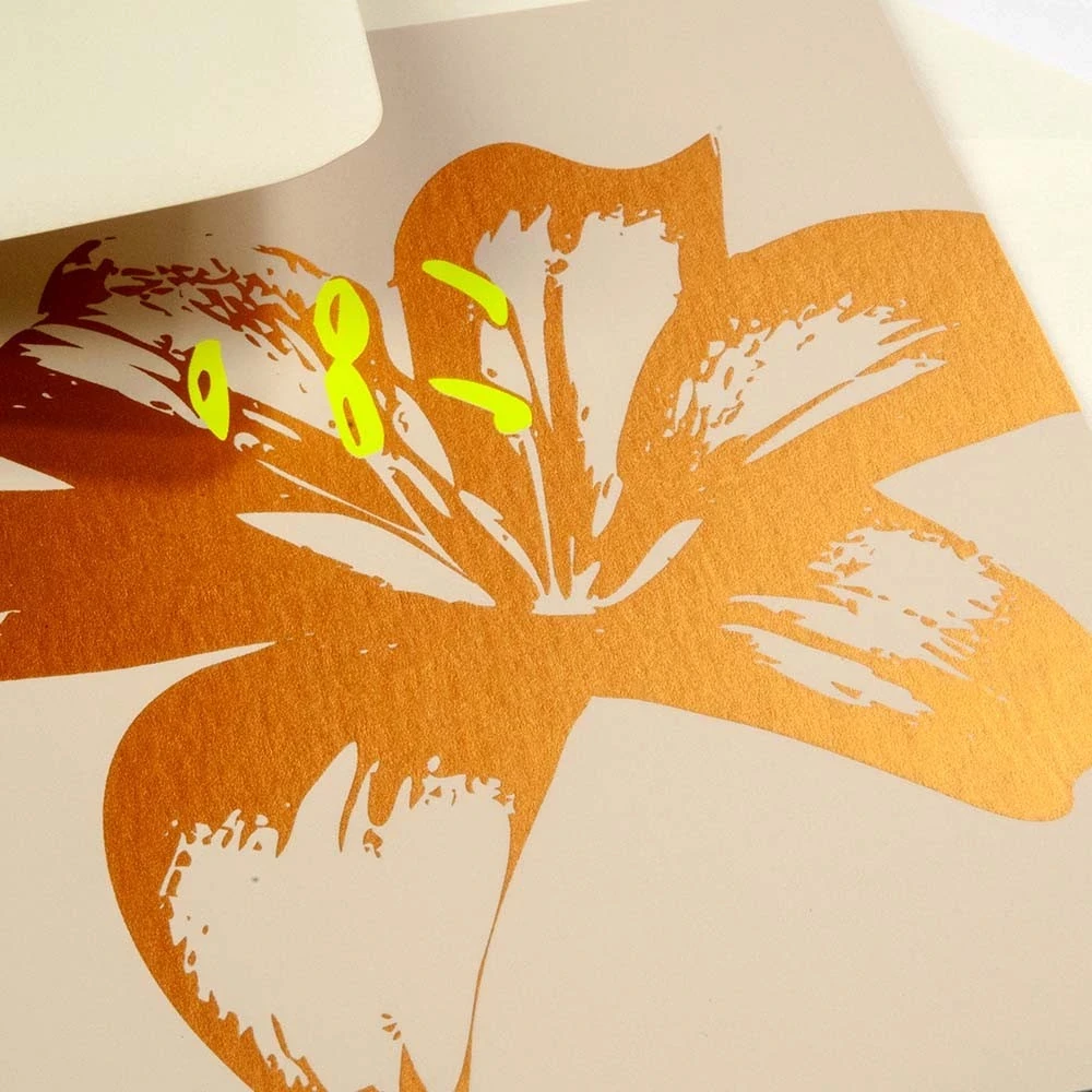 Greeting card lily on pure sand