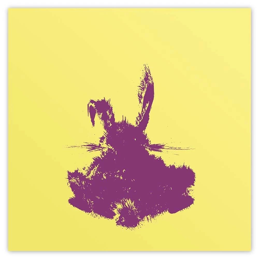 Greeting card bunny