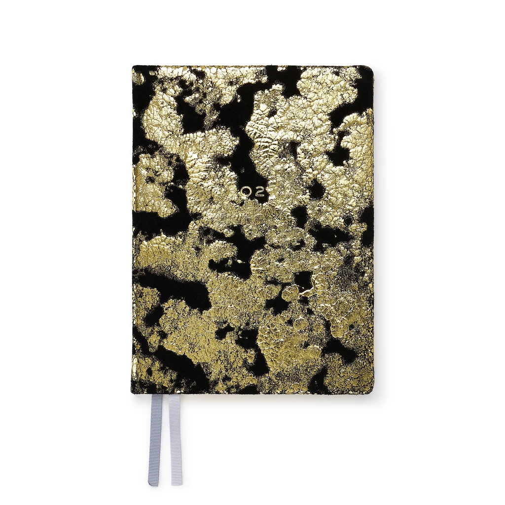 Weekly Planner Notes 2027 Black Gold