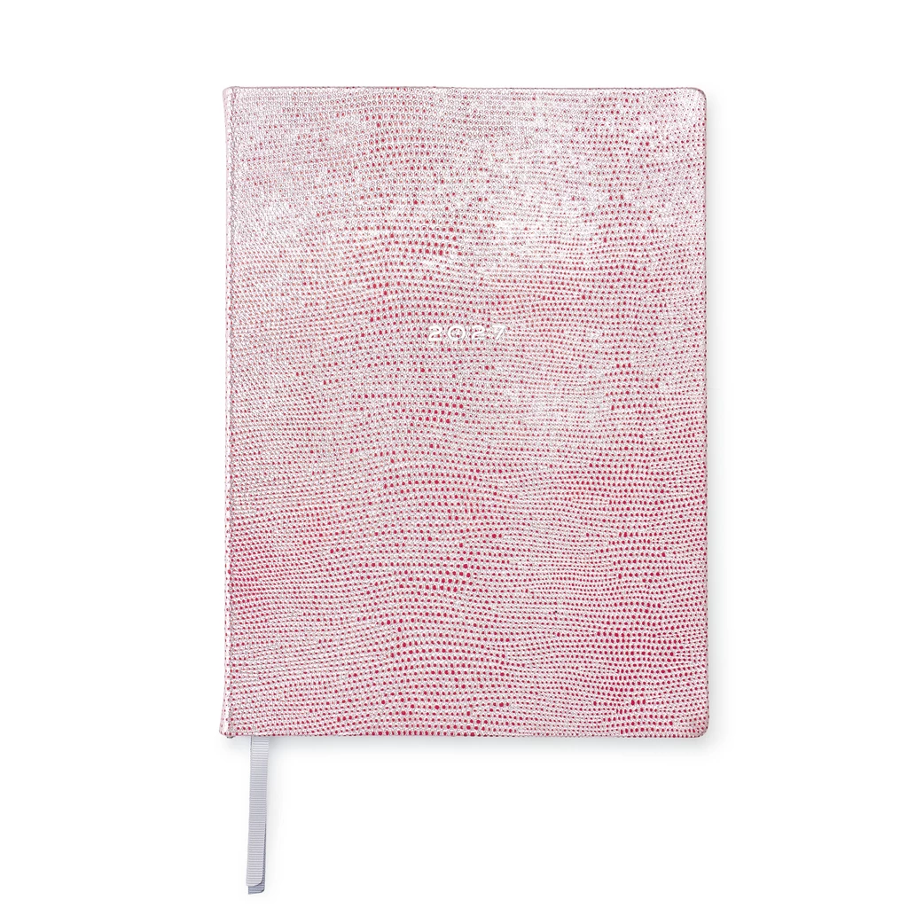 Weekly Planner 2027 Silver Red Leather
