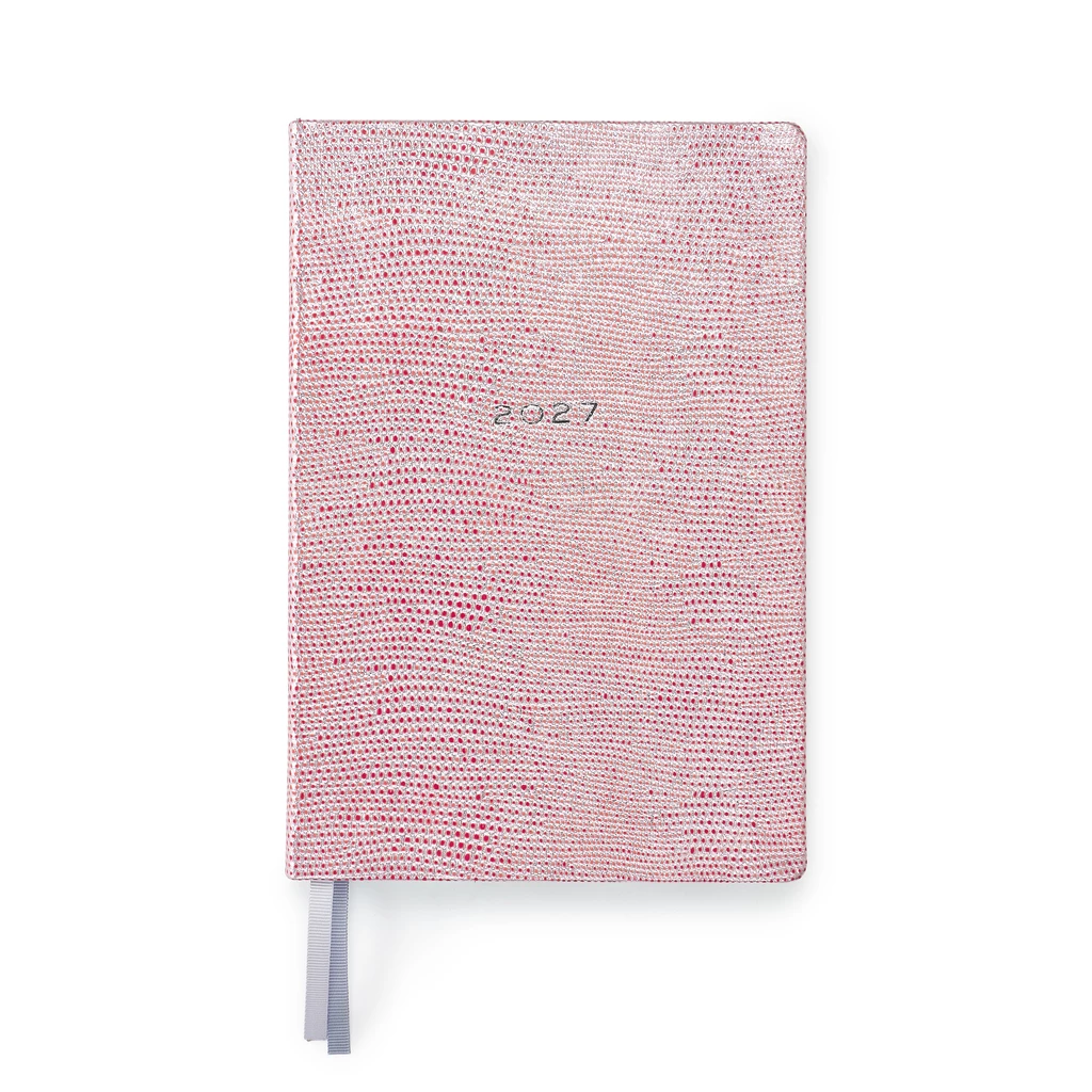 Daily Planner 2027 Silver Red