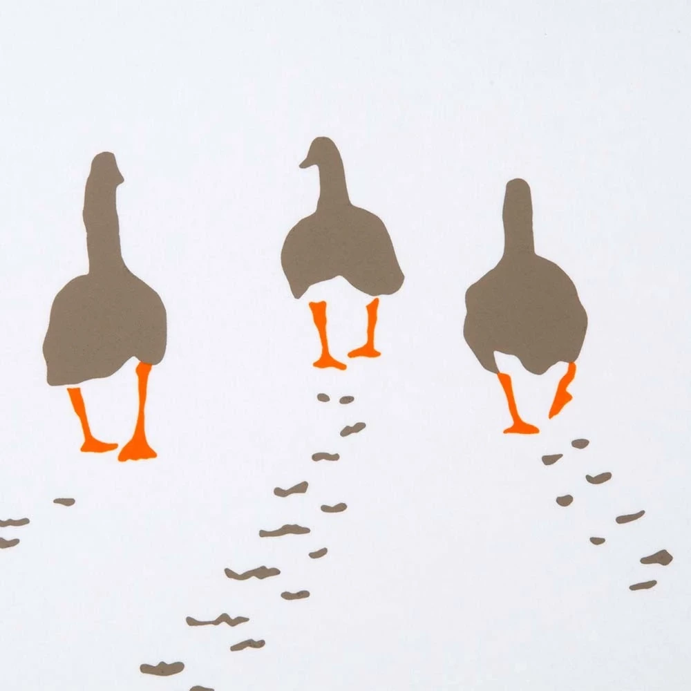 Greeting card geese