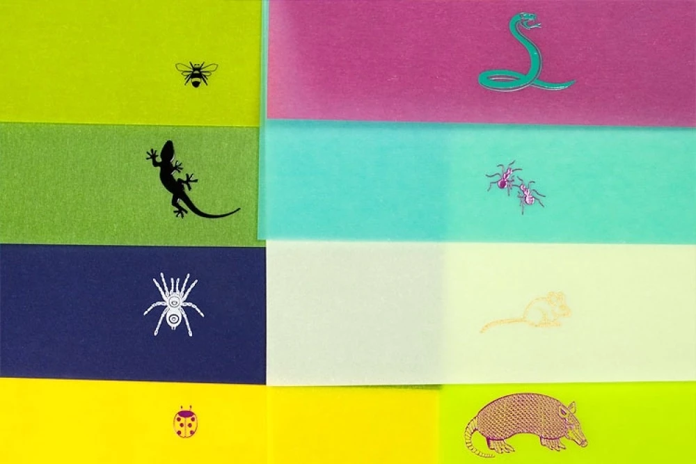Greeting card set Creepy Crawlies with 8 folding cards