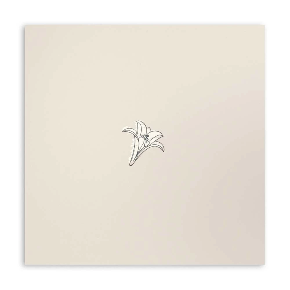 Greeting card lily petit
