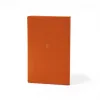 Journal M dotted Mandarino - 3