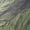 Wrapping paper peacock feather green 50 x 70 cm, 3 sheets - 3