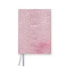 Weekly Planner Notes 2027 Silver Red - 3