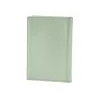 Passport Caddy Cool Mint - 3