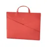 Slender Bag Lobster