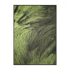 Wrapping paper peacock feather green 50 x 70 cm, 3 sheets