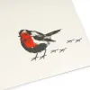 Greeting card redbreast - 2