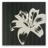 Greeting card lily on pinstripes