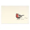 Greeting card redbreast
