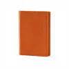 Passport Caddy Mandarino